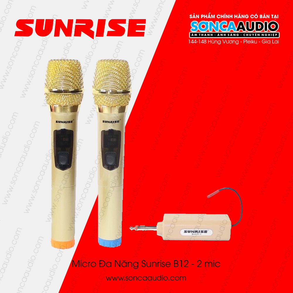 Micro đa năng Sunrise B12 - 2 mic